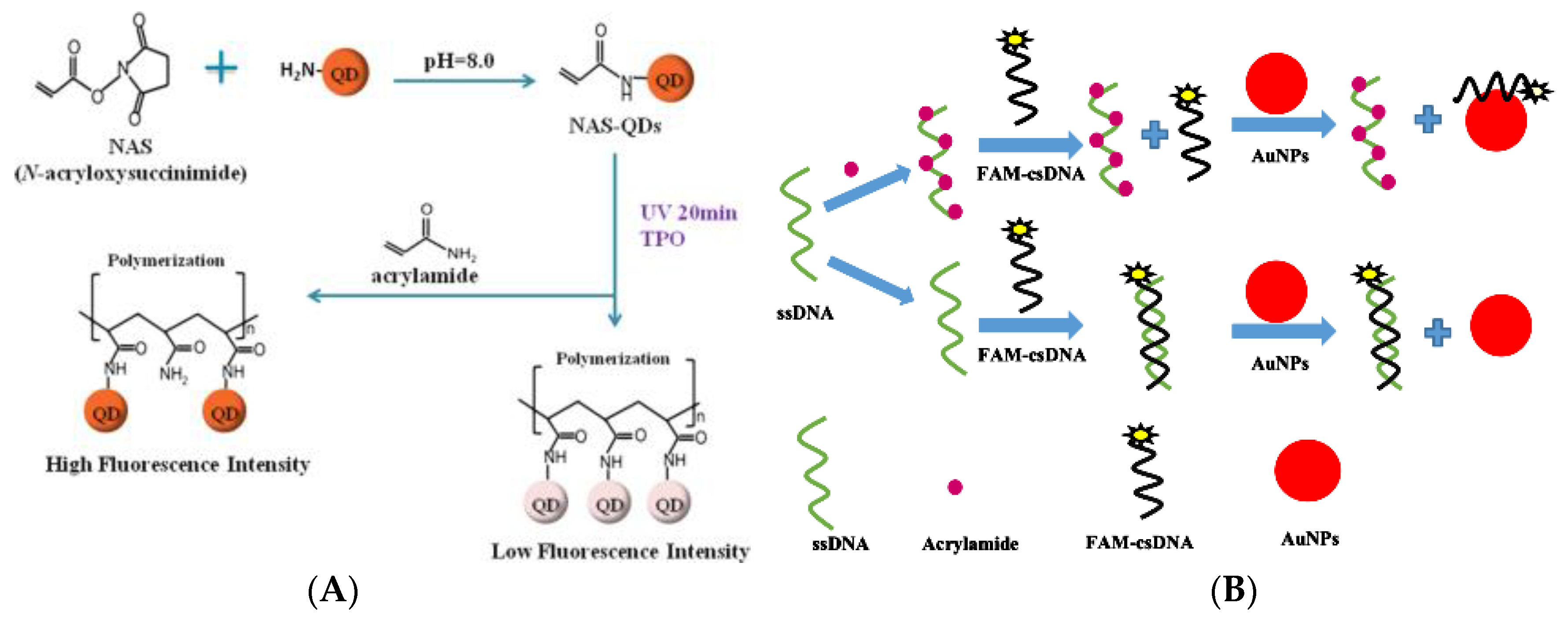 Foods 09 00524 g008 Foods 09 00524 g008