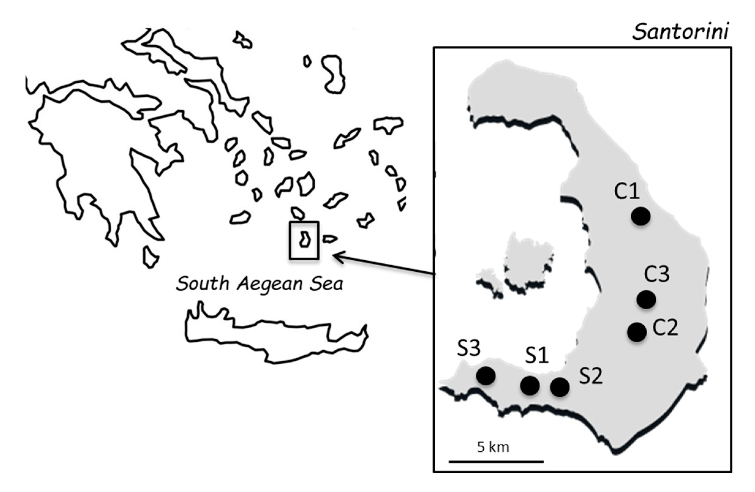 Foods | Free Full-Text | Patterns of Genetic Diversity and the Invasion of  Commercial Starters in Saccharomyces cerevisiae Vineyard Populations of  Santorini Island