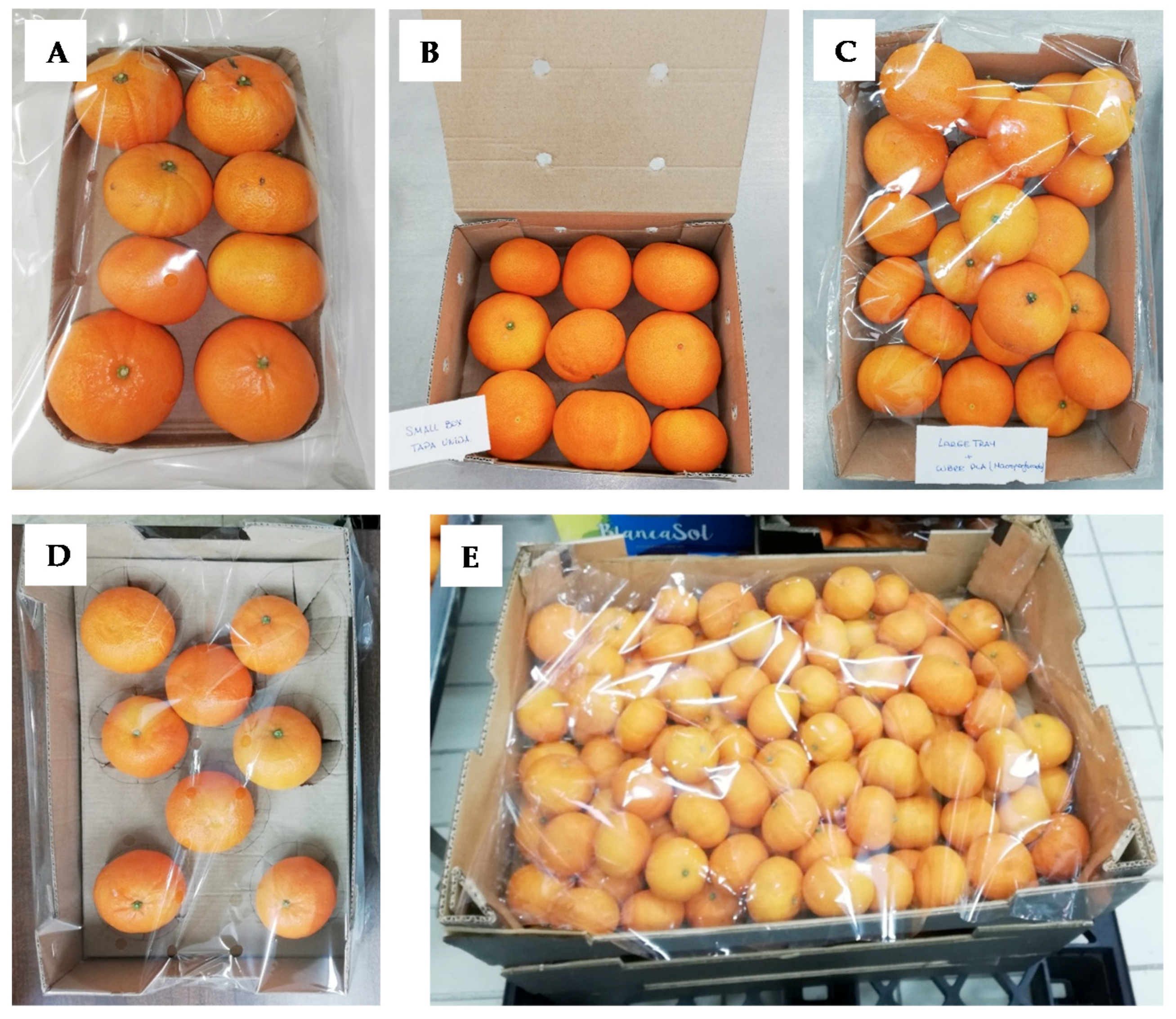 Risk In Consuming Rotten Fruits and Vegetables — Solar-powered cold storage  for developing countries