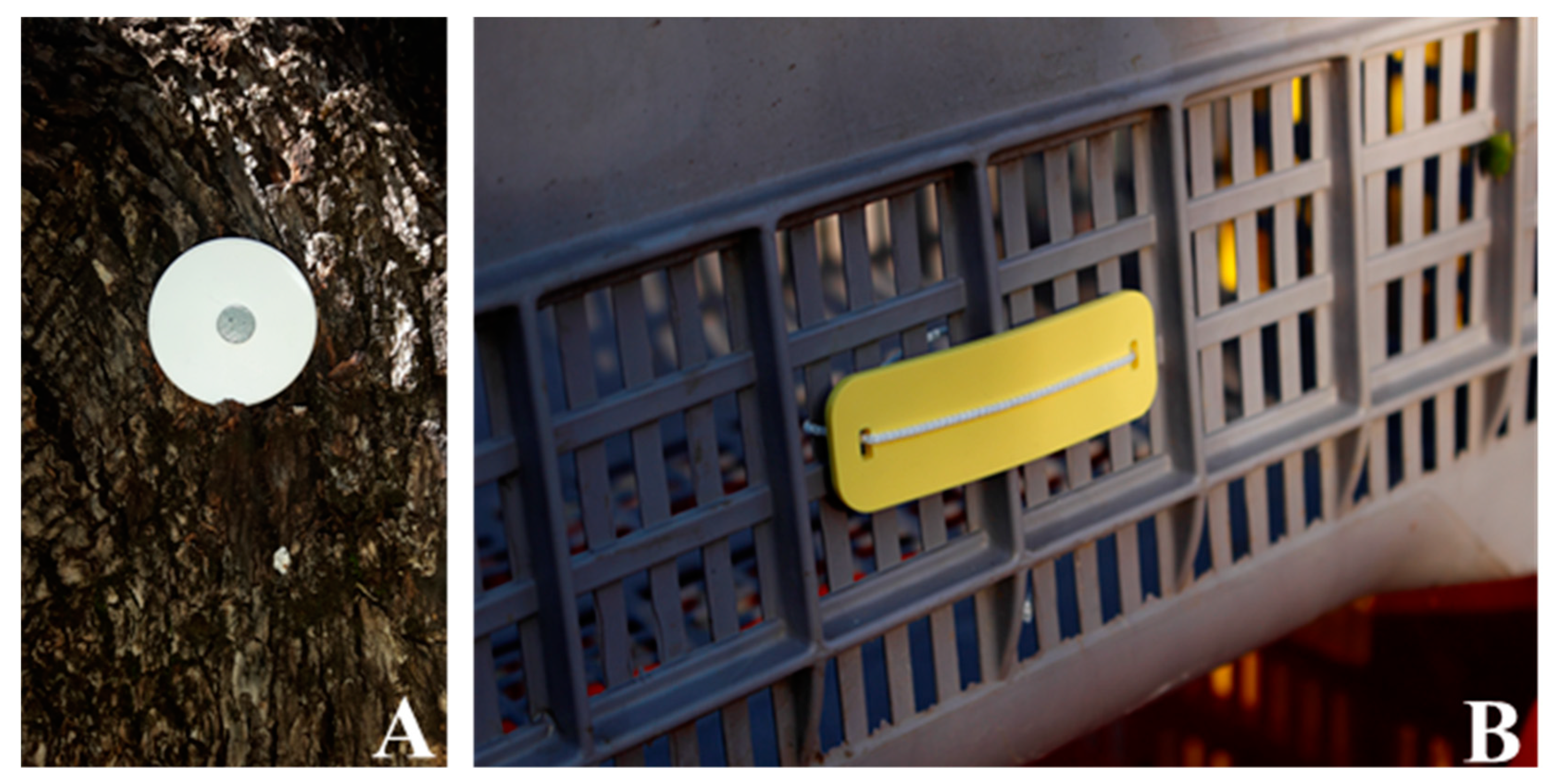 Foods 09 00624 g002 Foods 09 00624 g002