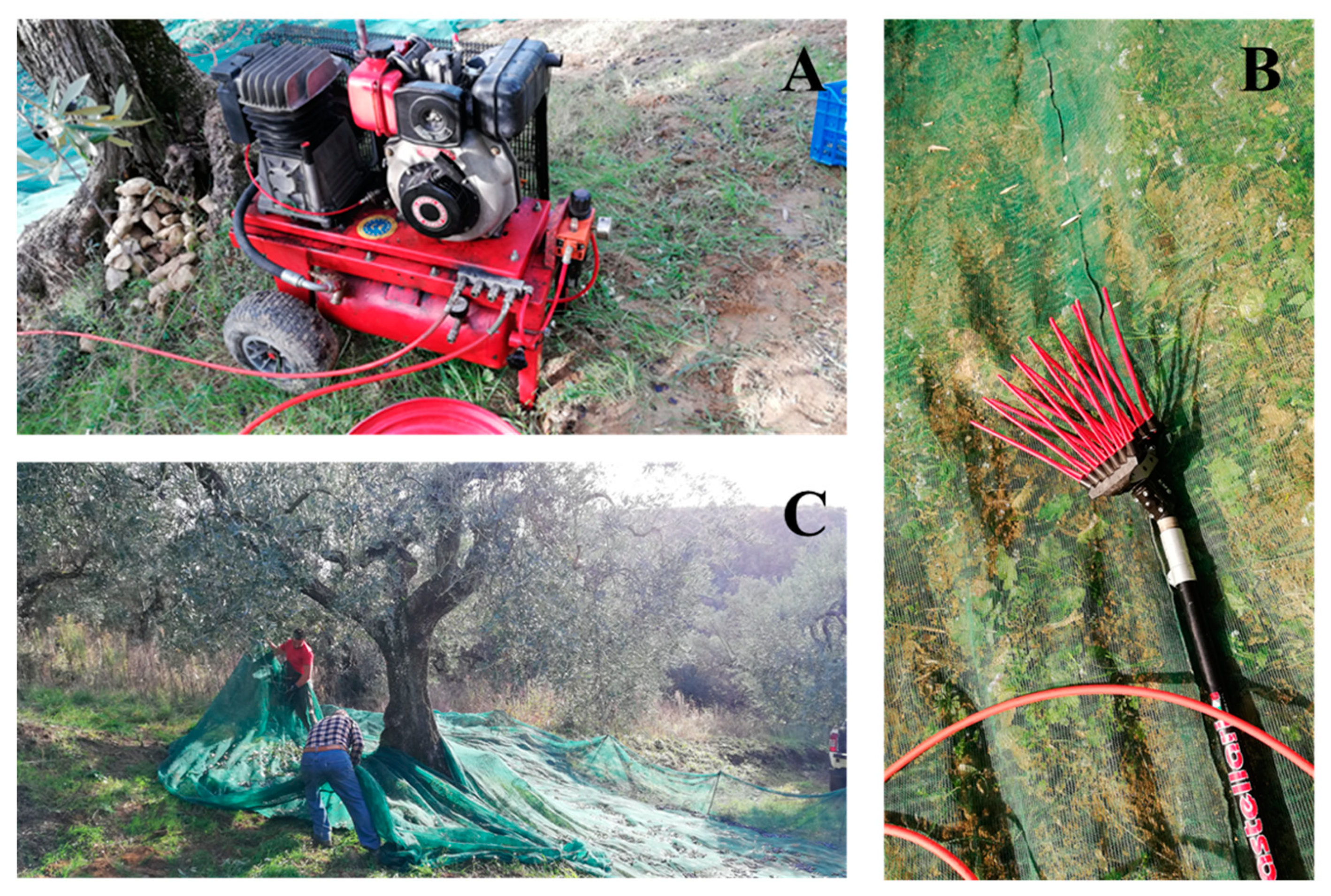 Foods 09 00624 g006 Foods 09 00624 g006