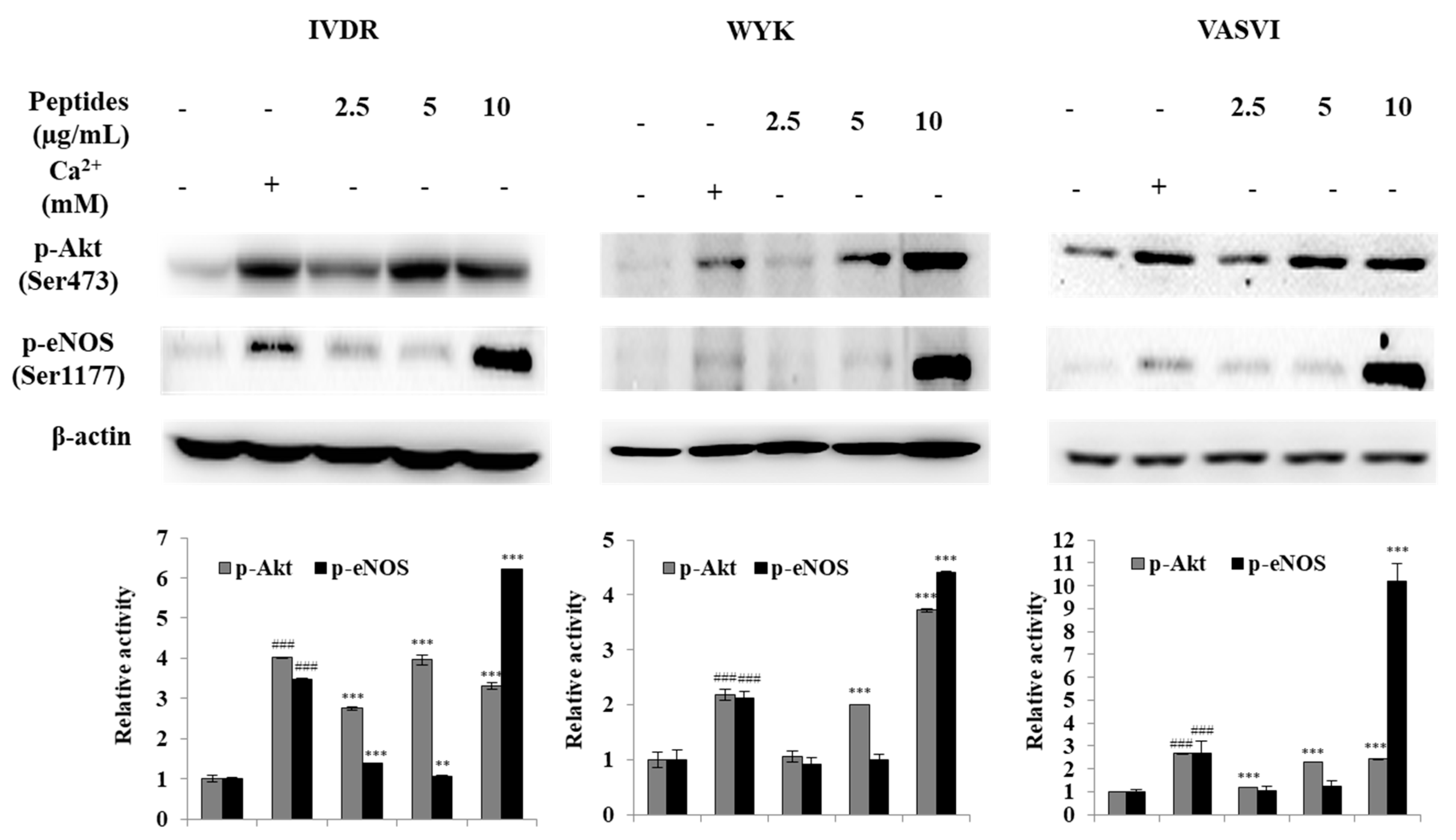 Foods 09 00647 g002 Foods 09 00647 g002