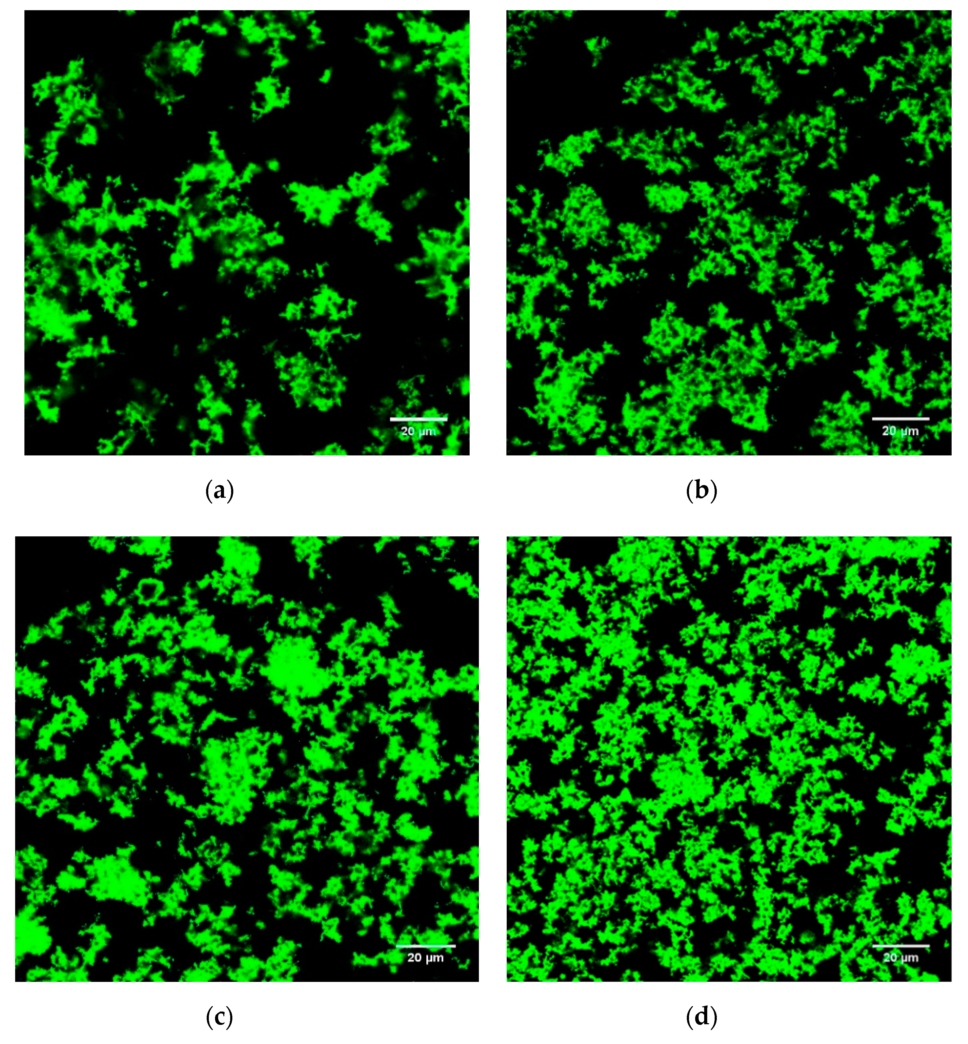 Foods 09 00831 g004a Foods 09 00831 g004a