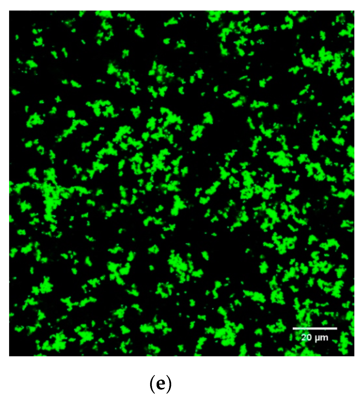 Foods 09 00831 g005b Foods 09 00831 g005b