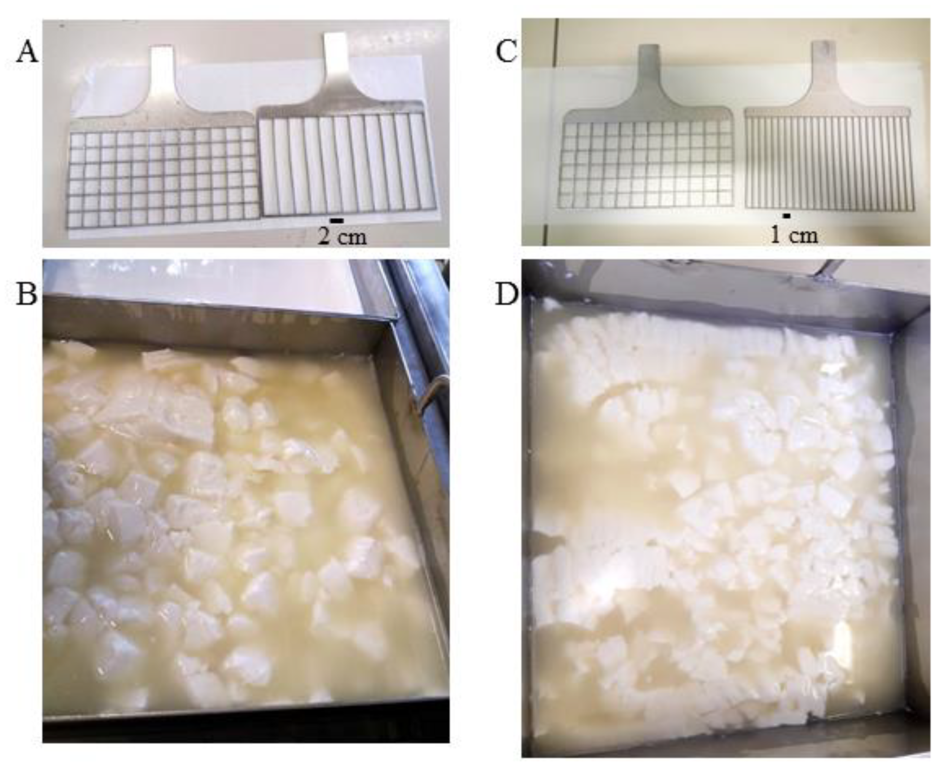 fromaggio  The World's First SMART Home Cheese Making Machine by Fromaggio