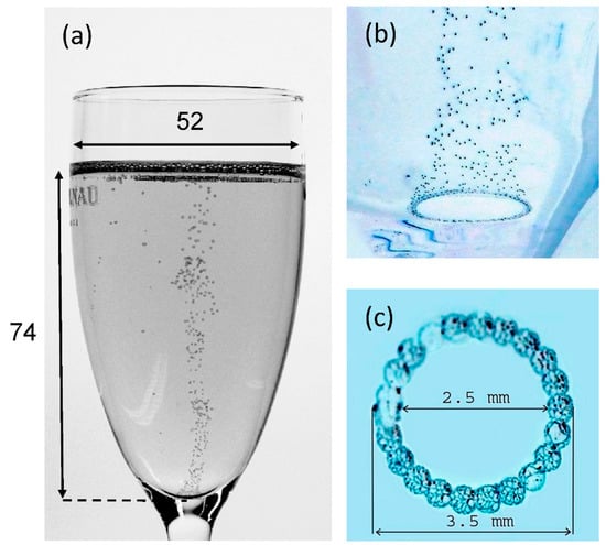 The Physics Behind the Bubble Cascade That Forms in a Glass of Guinness Beer