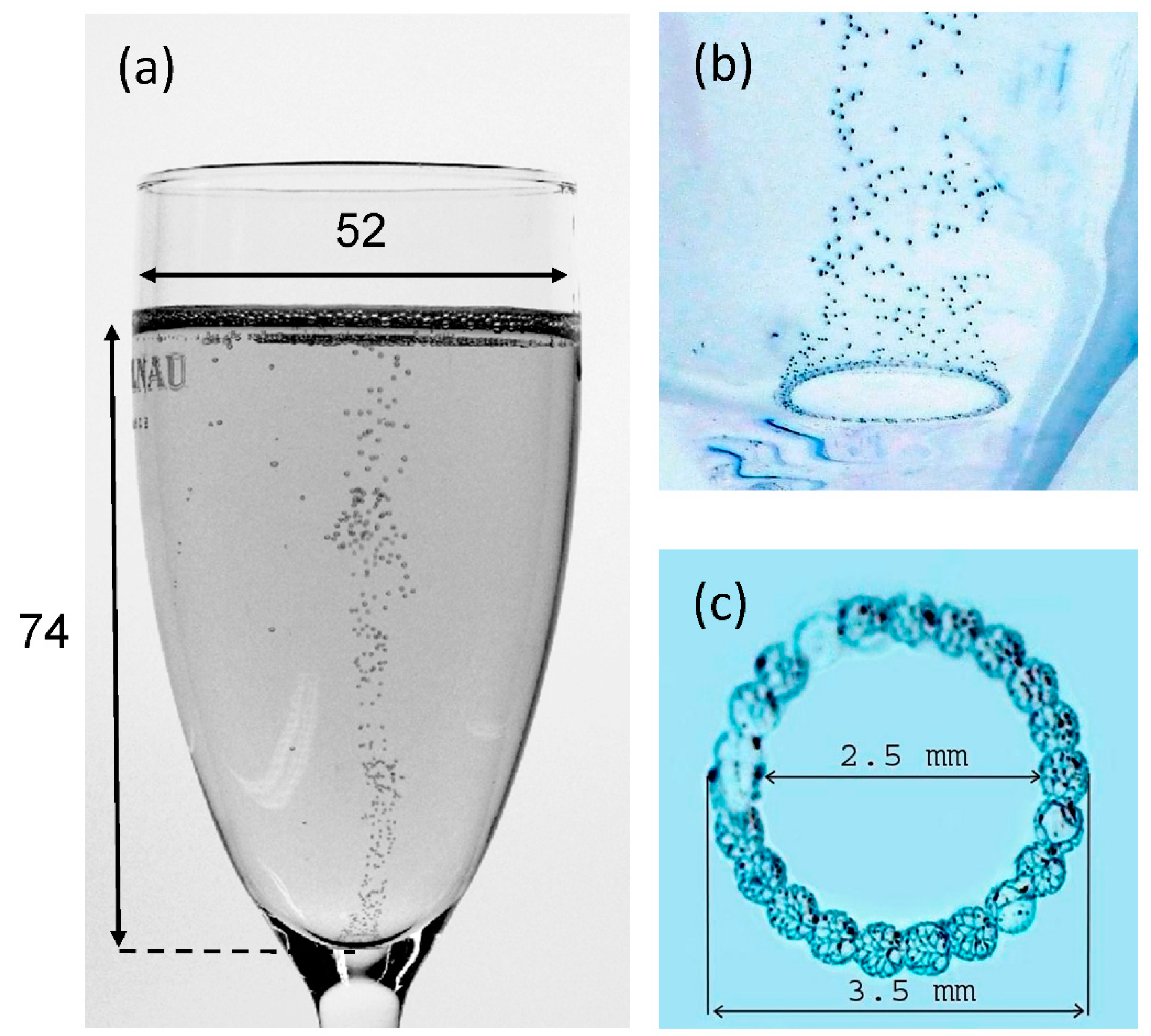 Foods Free Full Text Computational Fluid Dynamics Cfd As A Tool For Investigating Self Organized Ascending Bubble Driven Flow Patterns In Champagne Glasses Html