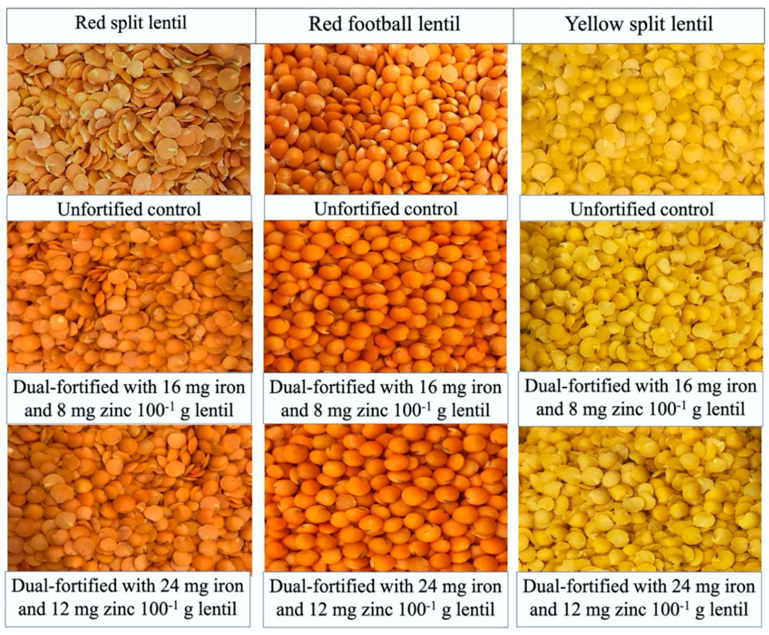 Foods | Free Full-Text | Sensory Acceptability of Dual-Fortified Milled Red  and Yellow Lentil (Lens culinaris Medik.) Dal in Bangladesh