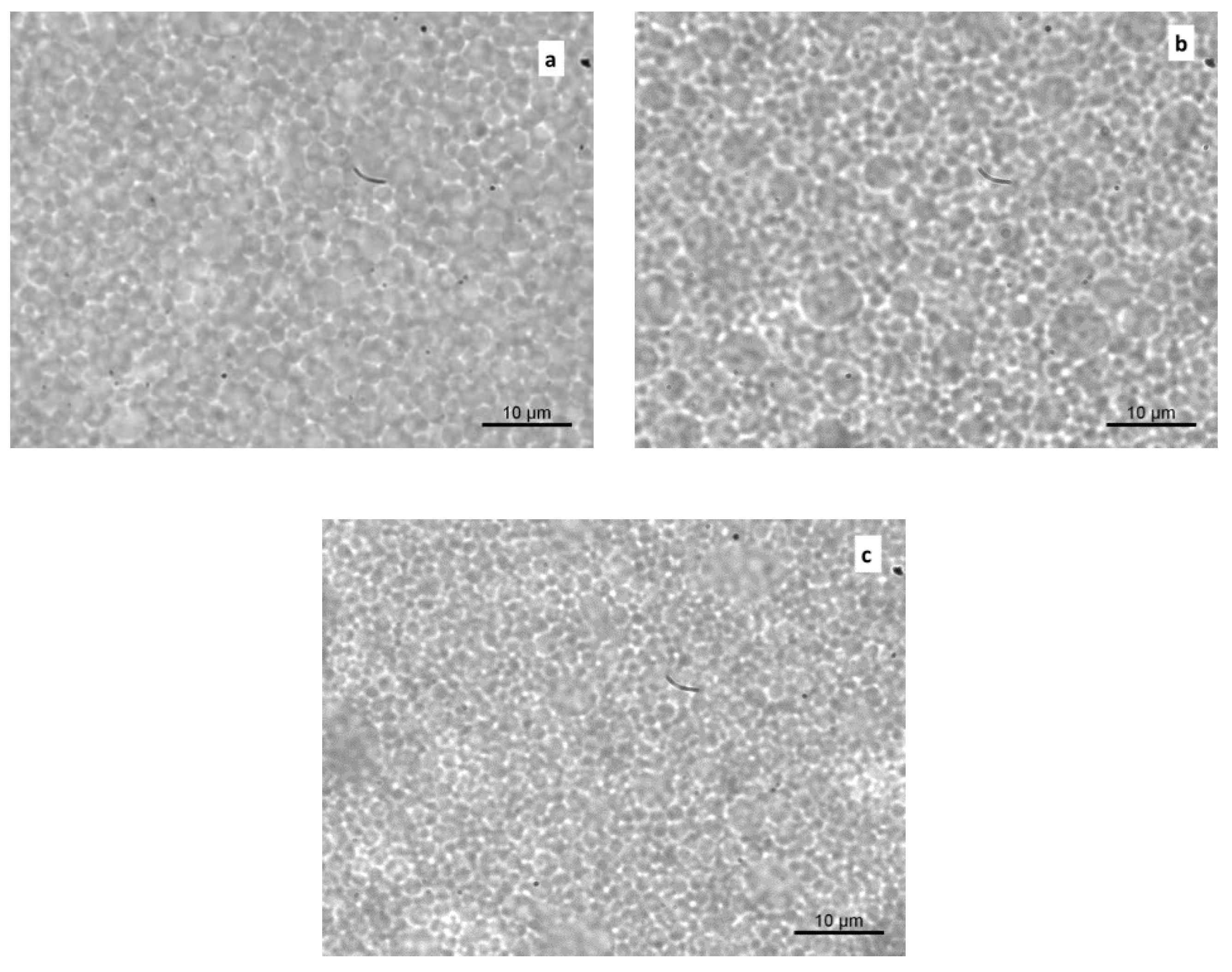 Foods 09 00997 g002 Foods 09 00997 g002