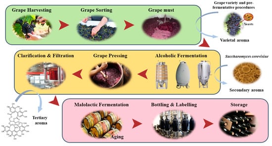 Fermentation and Aging Containers 