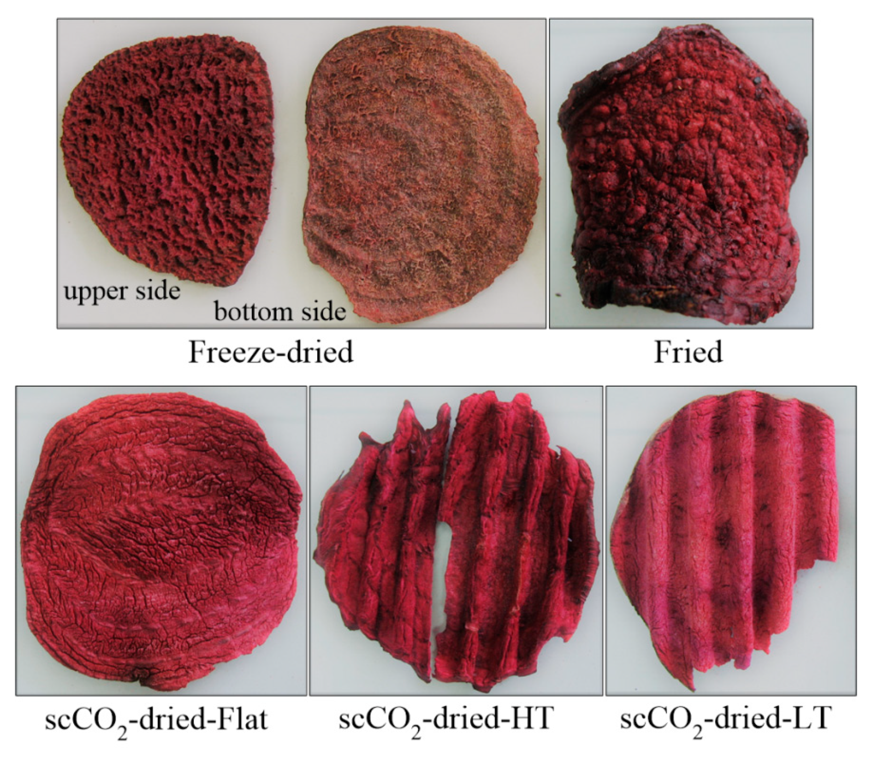 Foods | Free Full-Text | Comparison of Supercritical CO2-Drying,  Freeze-Drying and Frying on Sensory Properties of Beetroot