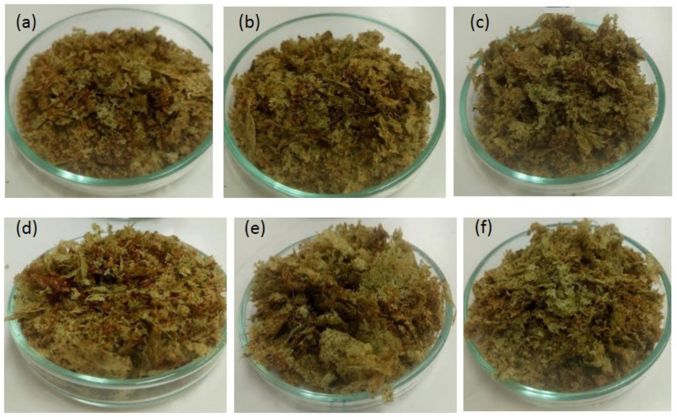 Foods 09 01224 g002 Foods 09 01224 g002