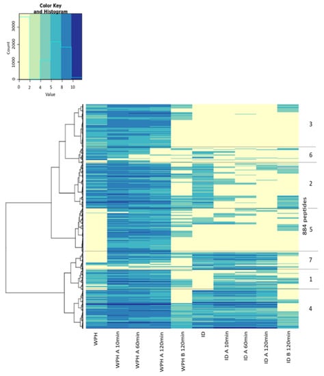 Foods | Free Full-Text | The Influence of Peptidases in Intestinal ...