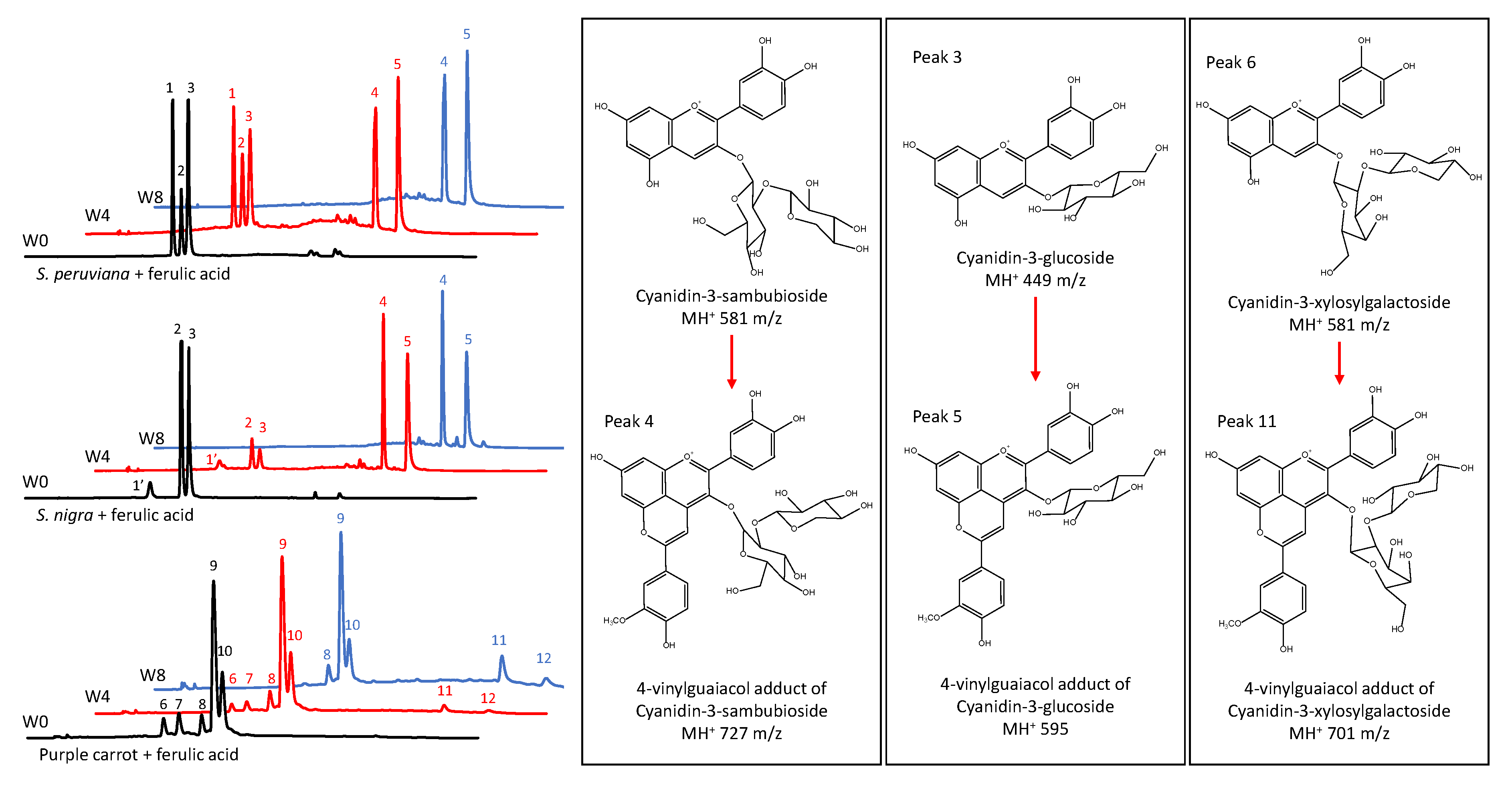 Foods 09 01476 g002 Foods 09 01476 g002