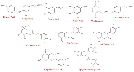 Foods | Free Full-Text | Bioaccessibility of Bioactive Compounds of ...