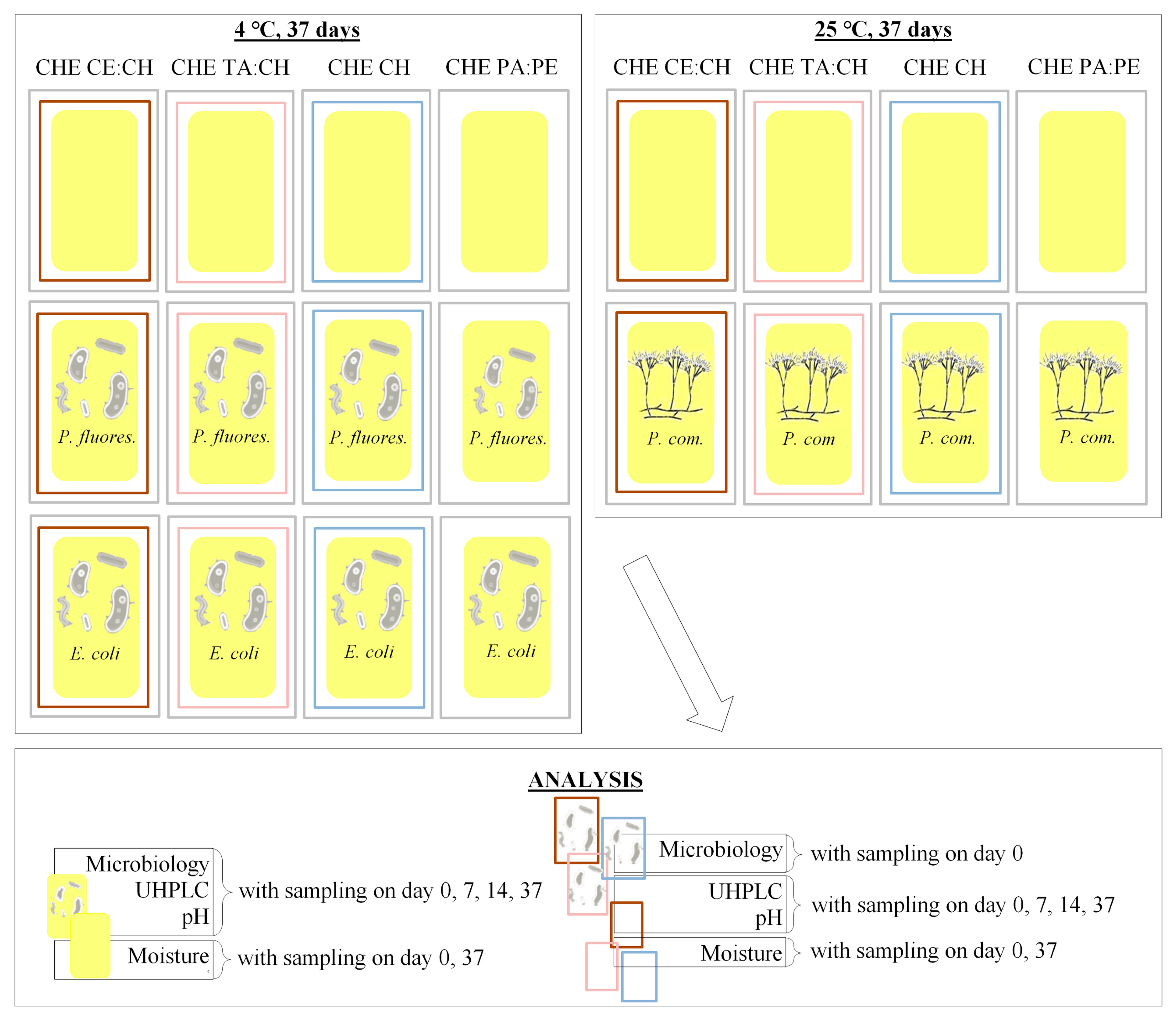 Foods 09 01645 sch001