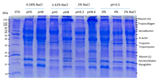 PDF) Optimization of protein recovery by foam separation using response  surface methodology