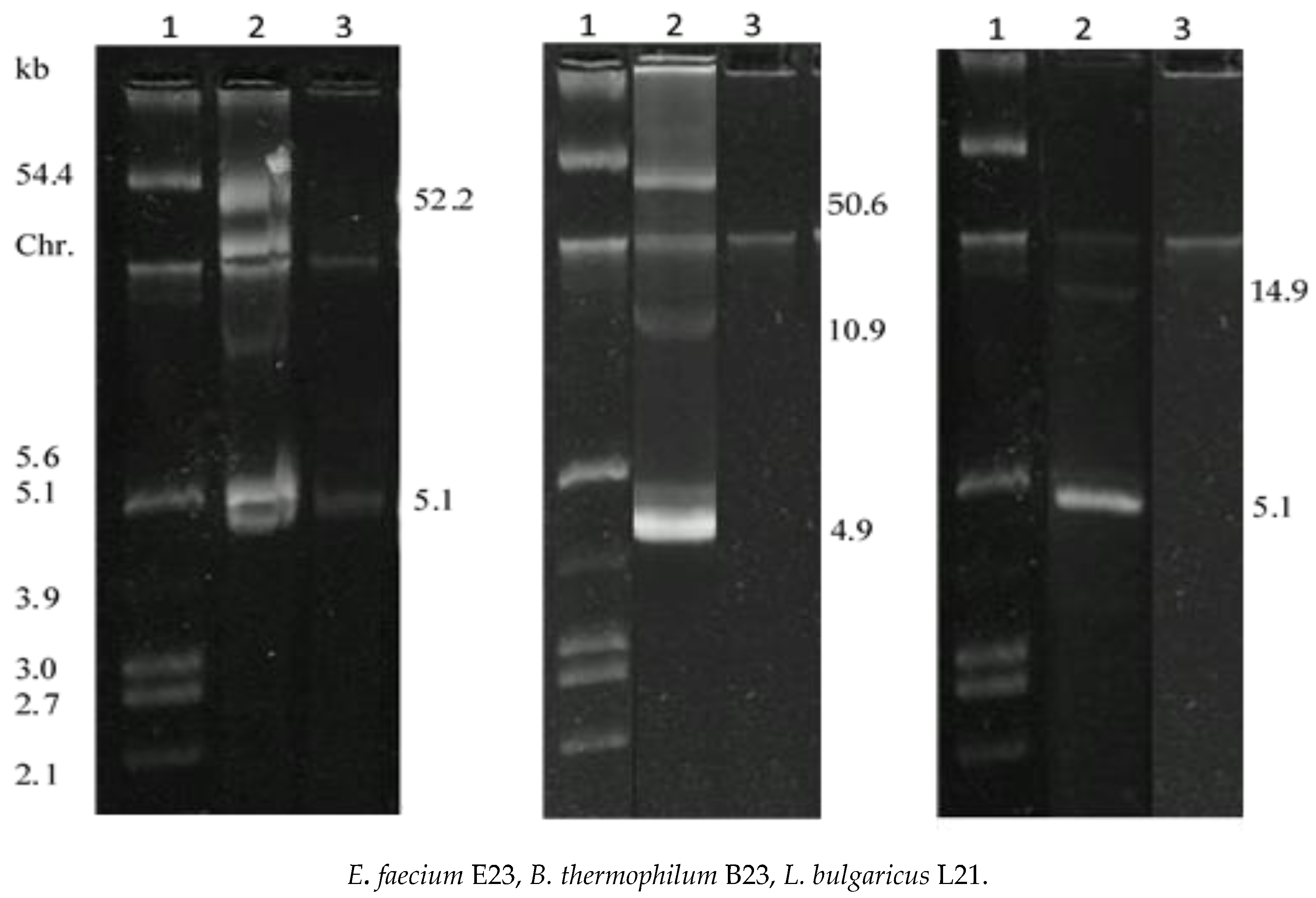 Foods | Free Full-Text | Antilisterial Activity of Bacteriocins