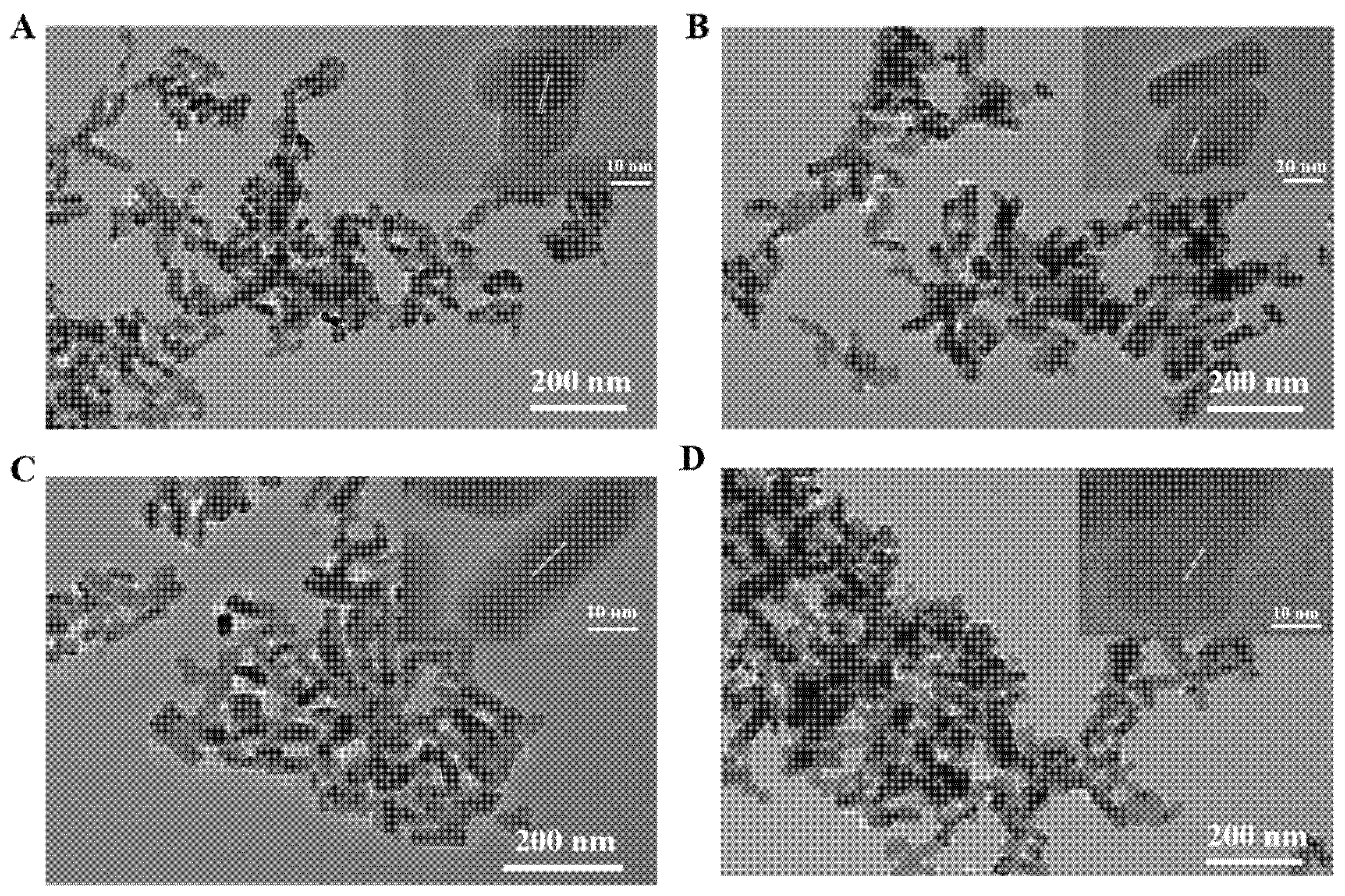 Foods 09 01758 g001 Foods 09 01758 g001