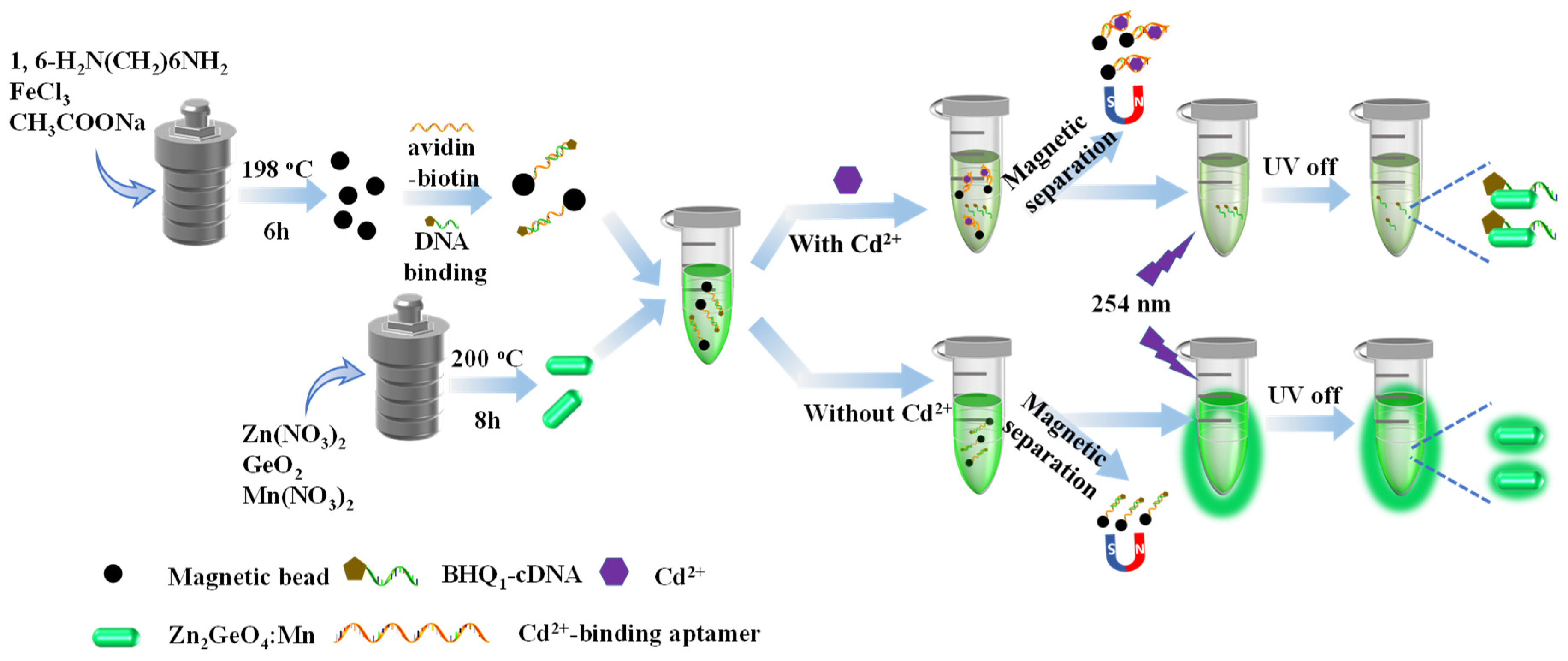 Foods 09 01758 sch001 Foods 09 01758 sch001