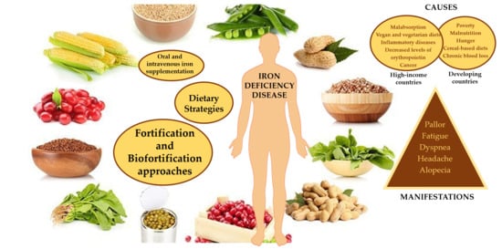 Foods | Free Full-Text | Fighting Iron-Deficiency Anemia: Innovations in  Food Fortificants and Biofortification Strategies | HTML