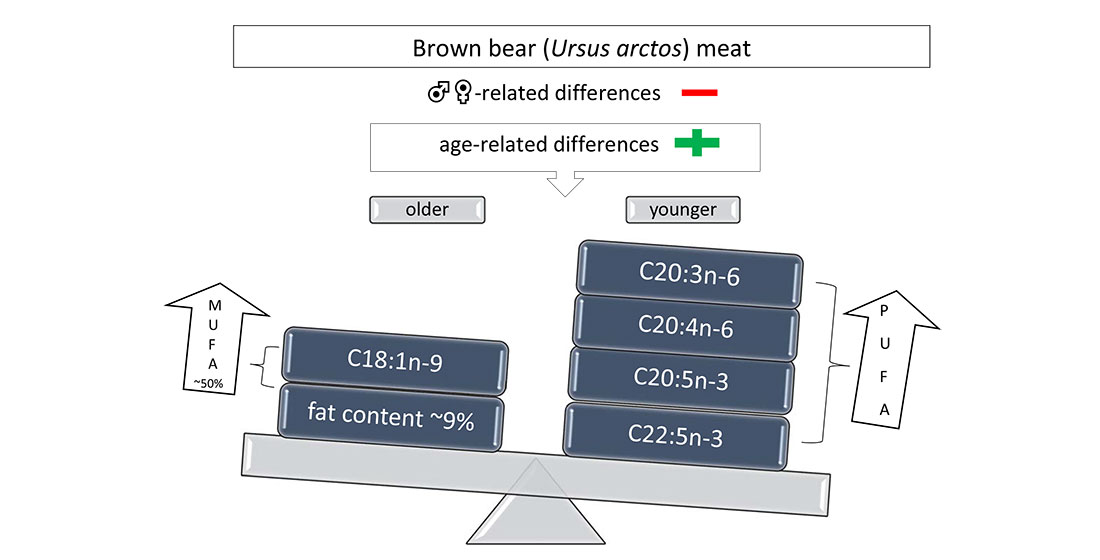 Foods Free Full Text Proximate Chemical Composition Fatty Acid Profile And Lipid Qualitative Indices Of Brown Bear Meat Html