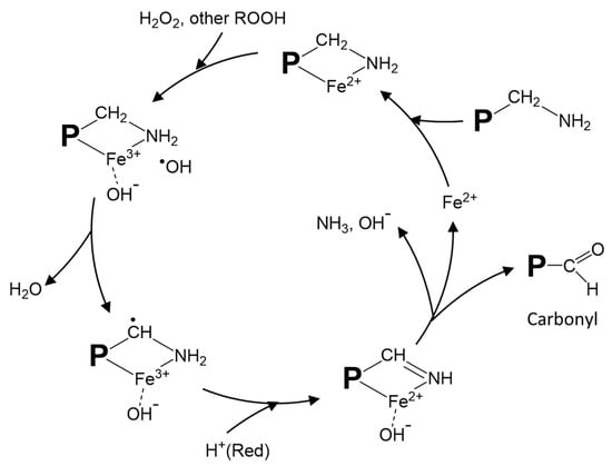 PDF) Oxidative stability and physicochemical changes of dark