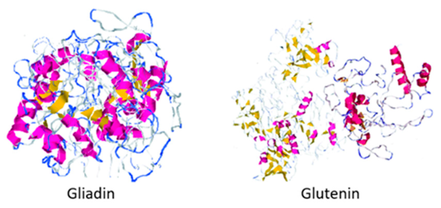 gliadin structure