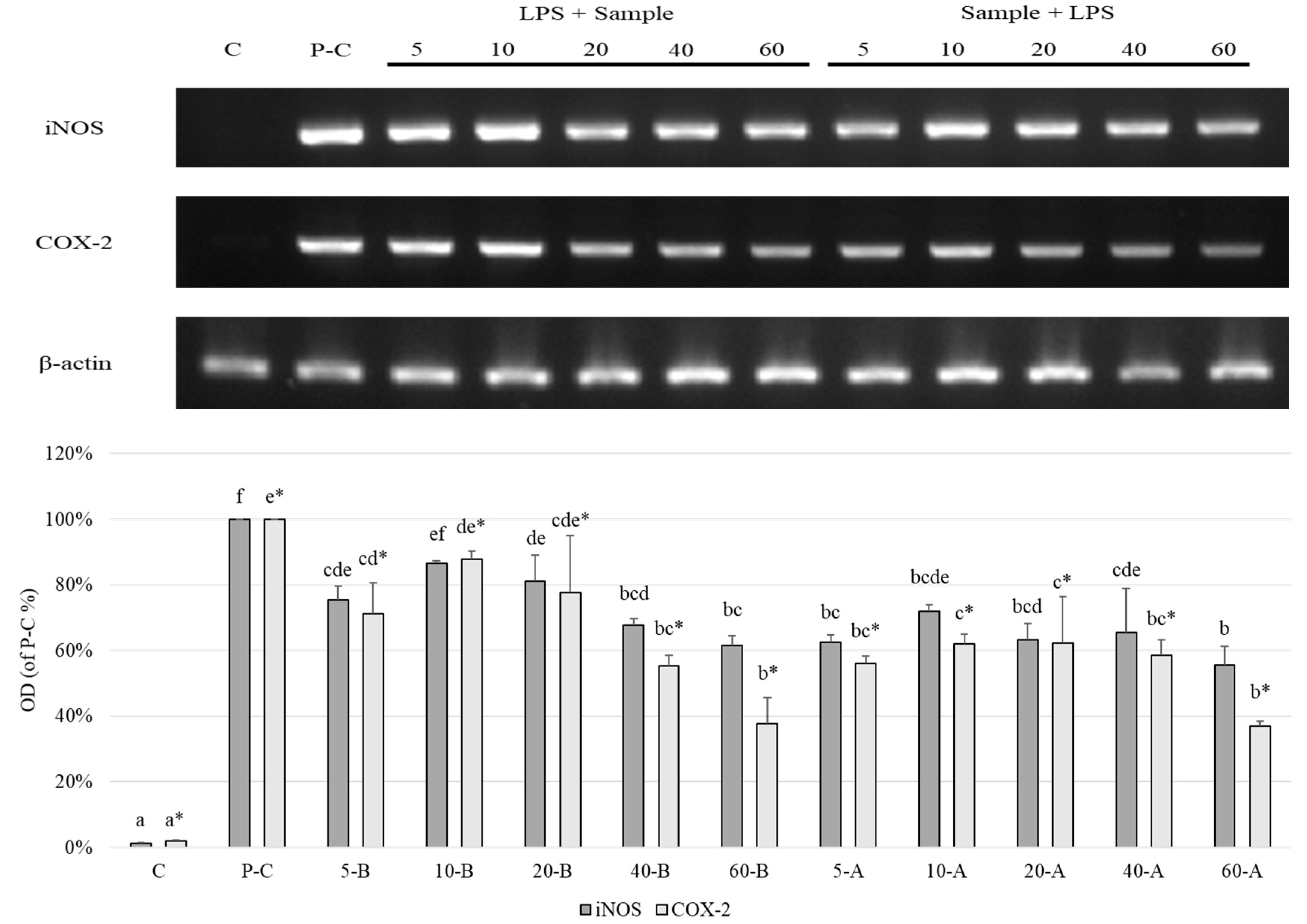Foods 10 00167 g006 Foods 10 00167 g006