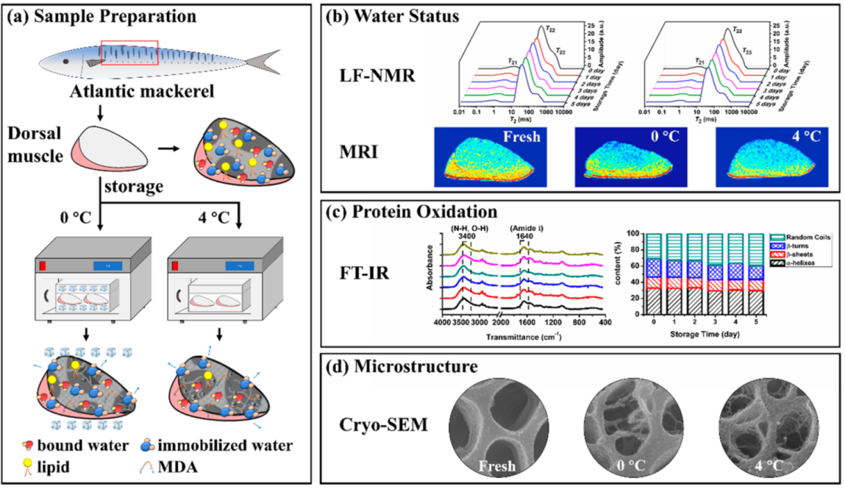 Foods 10 00214 sch001