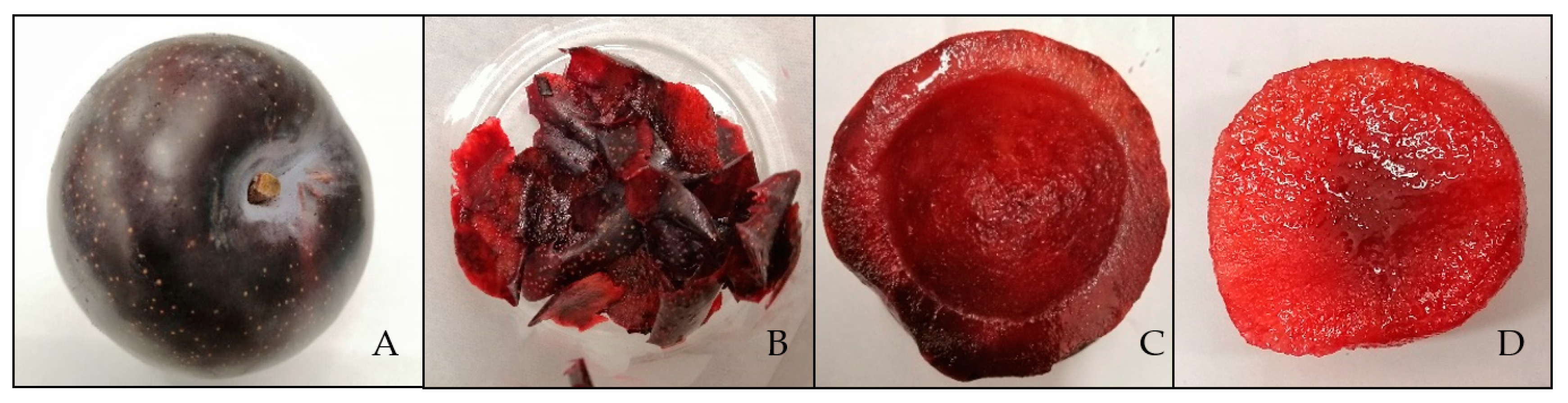 Foods | Free Full-Text | Effect of Storage on the Nutritional Quality of Queen  Garnet Plum