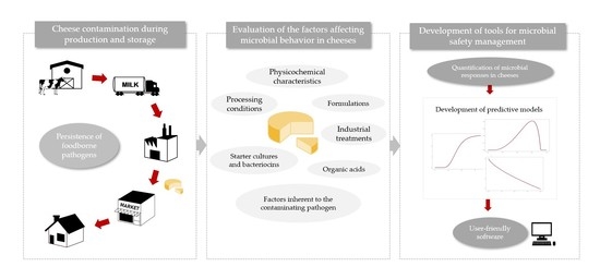 foods free full text from cheese making to consumption exploring the microbial safety of cheeses through predictive microbiology models html