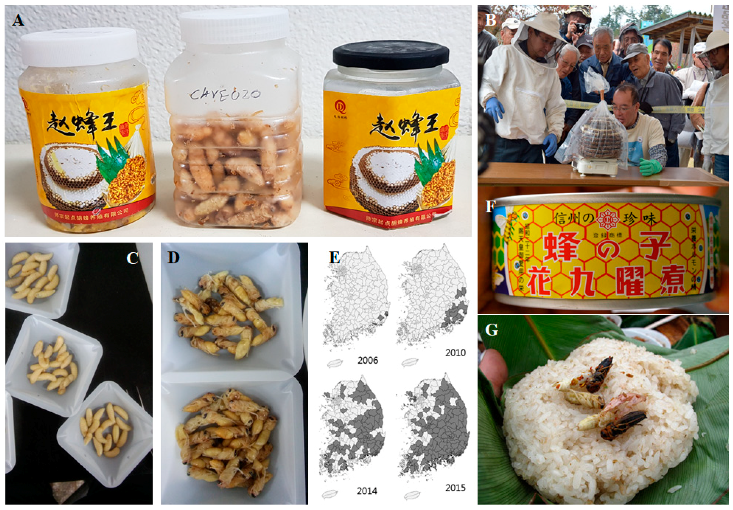 Foods 10 00418 g001 Foods 10 00418 g001