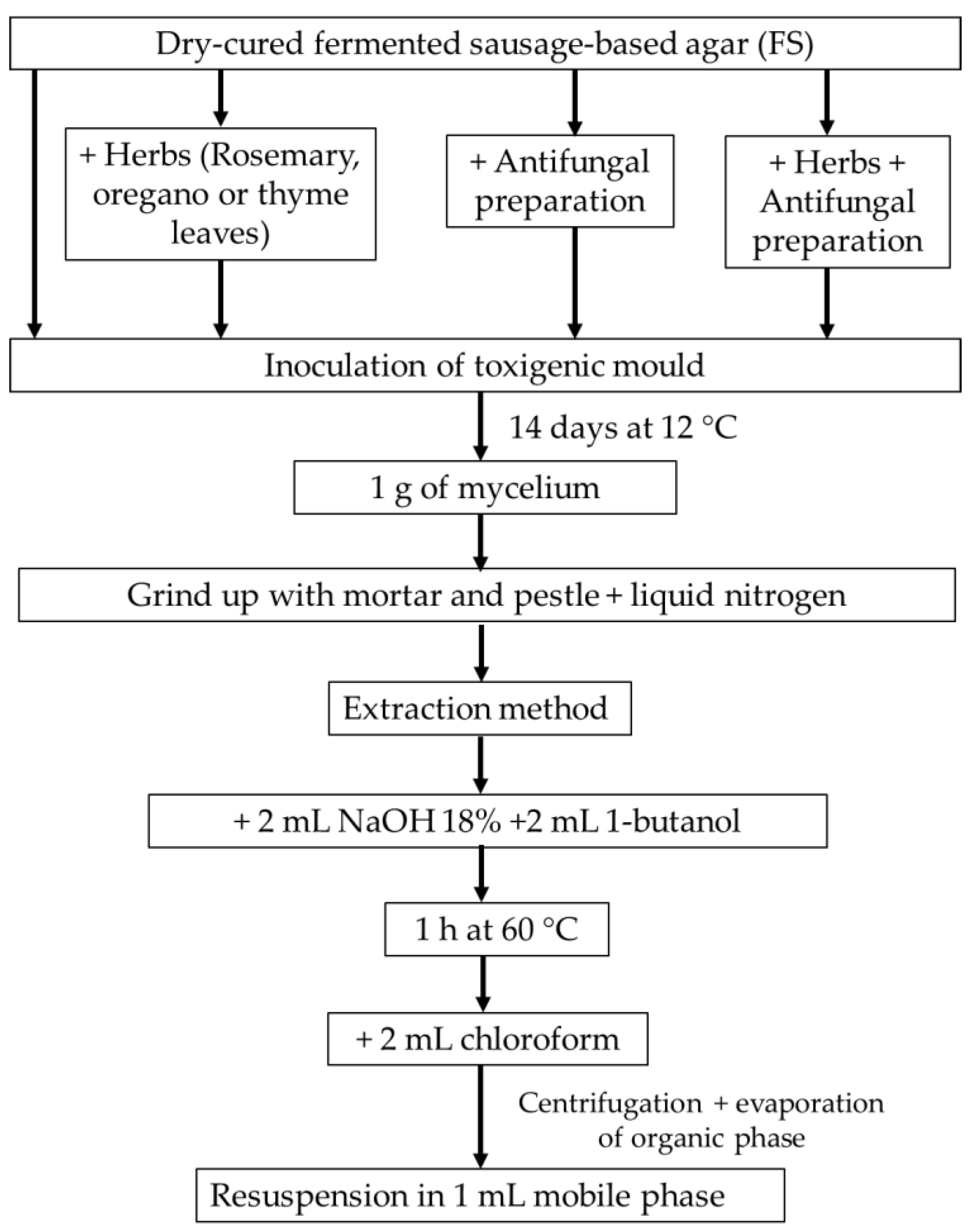 Foods Free Full Text Development Of A Methodology For Estimating The Ergosterol In Meat Product Borne Toxigenic Moulds To Evaluate Antifungal Agents Html