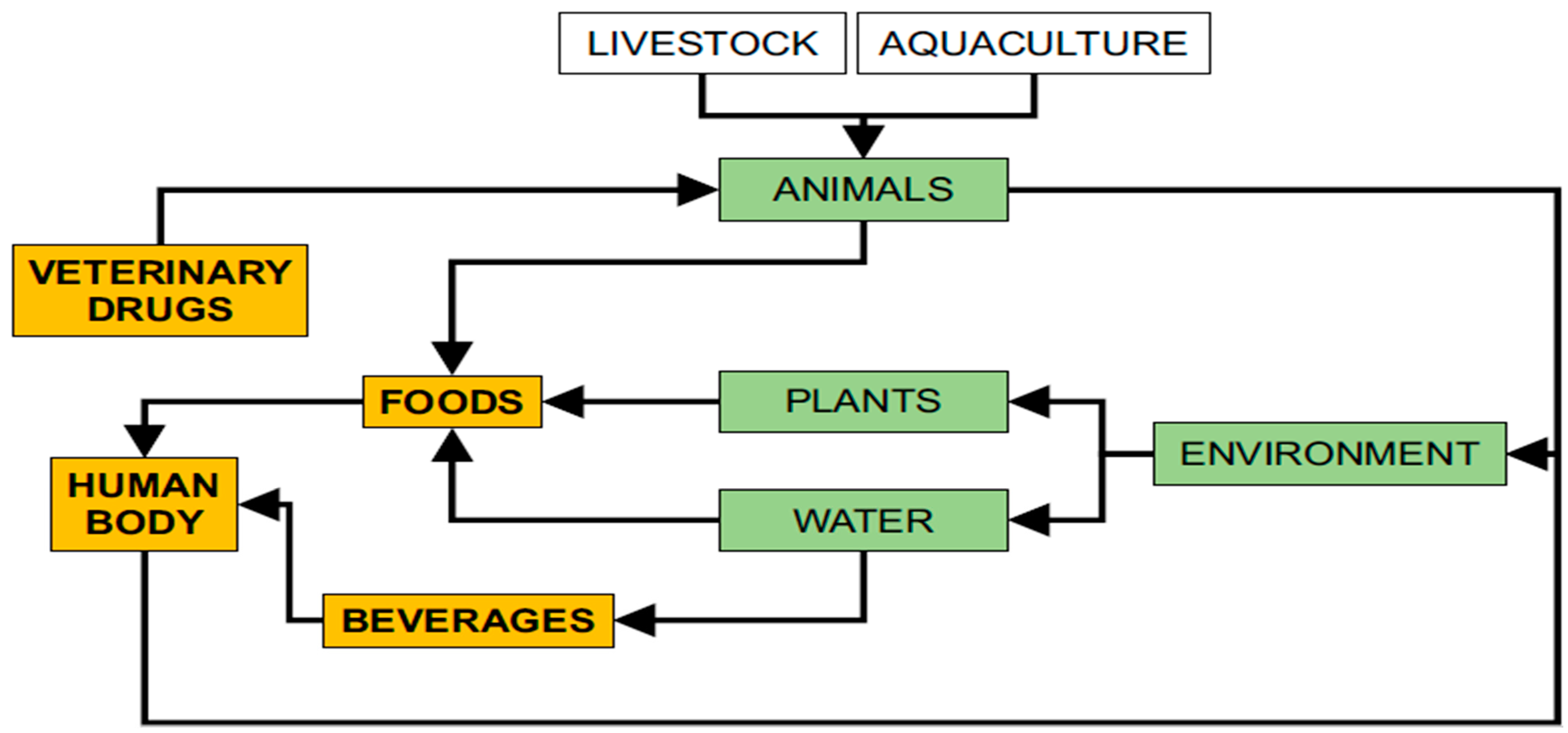 Foods Free Full Text Veterinary Drug Residues In Animal Derived Foods Sample Preparation And Analytical Methods Html