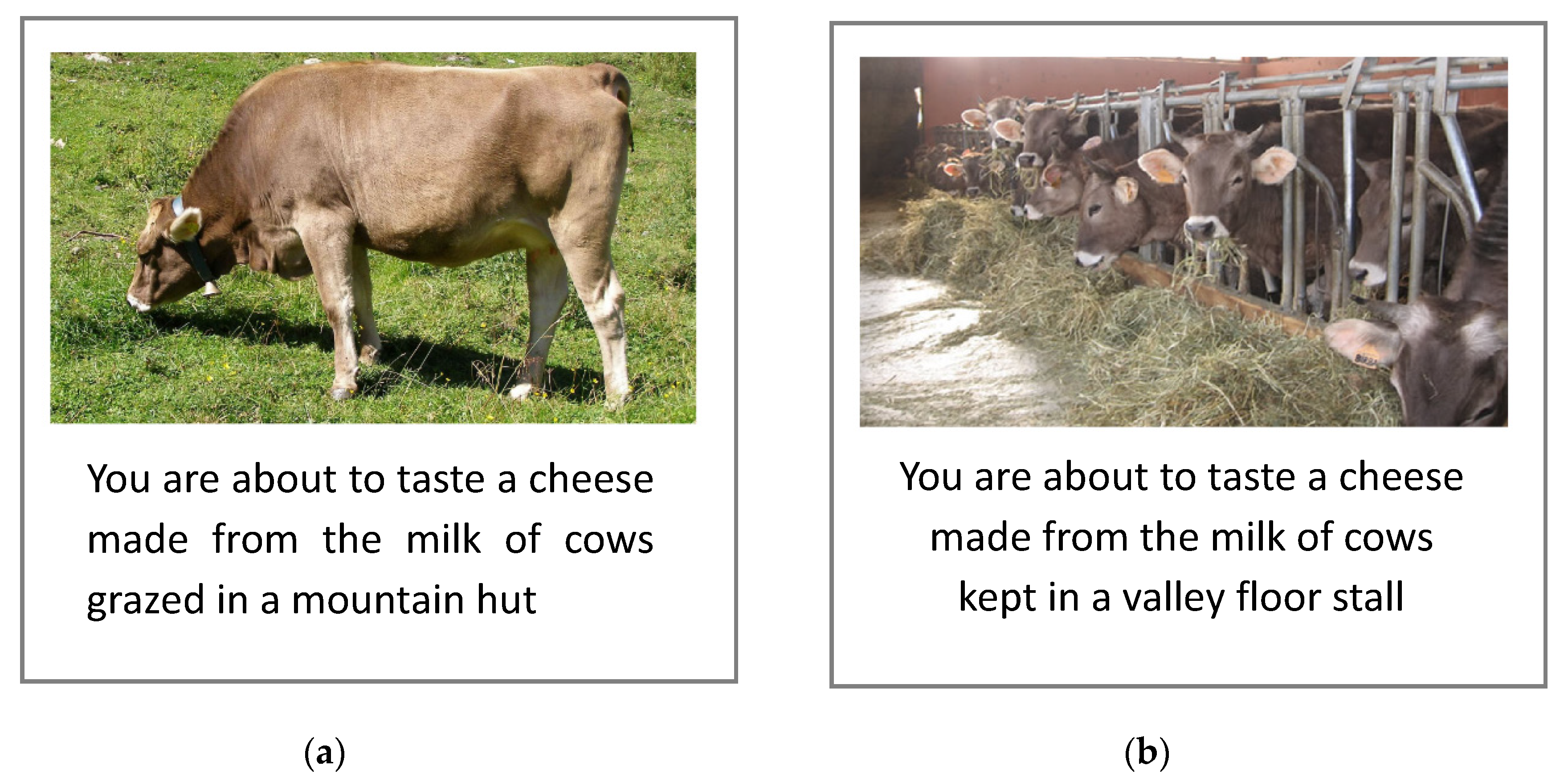 Foods | Free Full-Text | Does the 'Mountain Pasture Product' Claim Affect  Local Cheese Acceptability?