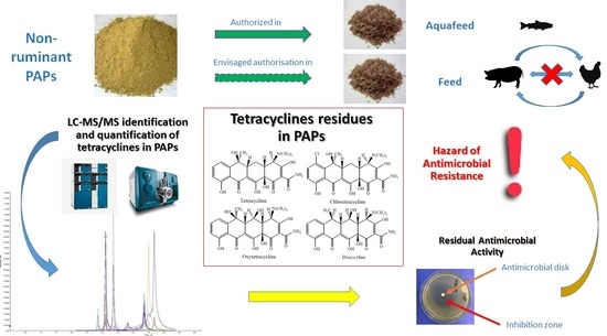 Foods Free Full Text Tetracyclines In Processed Animal Proteins A Monitoring Study On Their Occurrence And Antimicrobial Activity Html