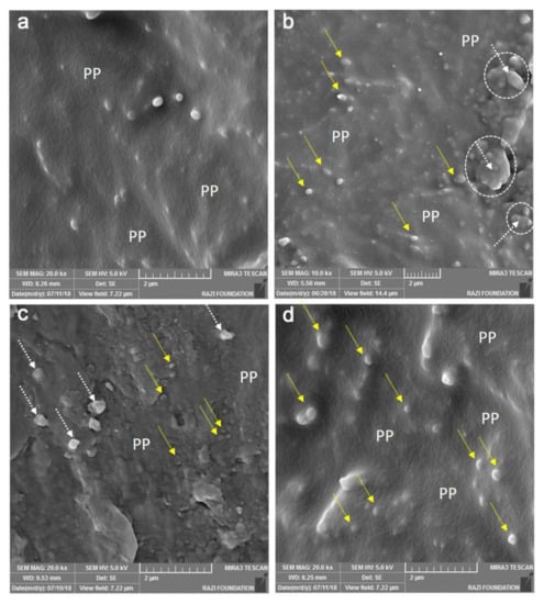 Foods Free Full Text Active Polypropylene Based Films Incorporating Combined Antioxidants And Antimicrobials Preparation And Characterization Html