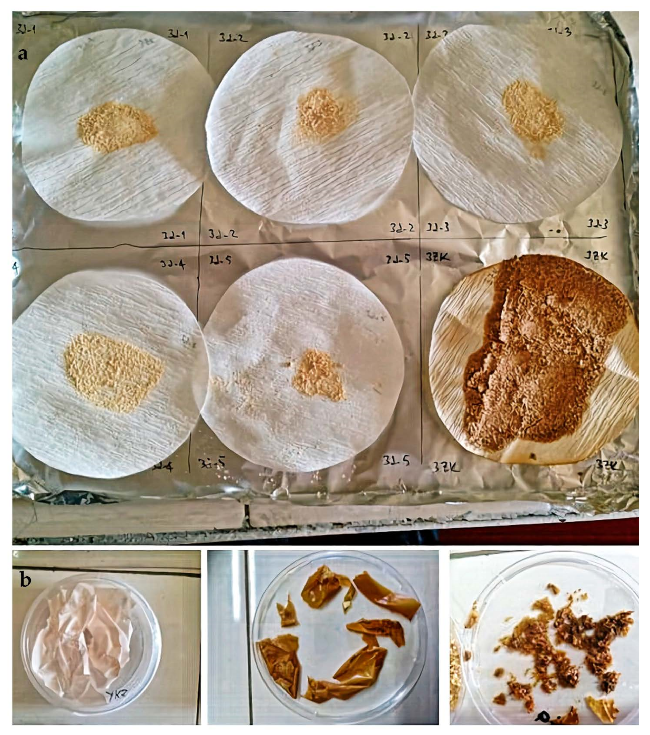 Foods 10 00806 g009 Foods 10 00806 g009