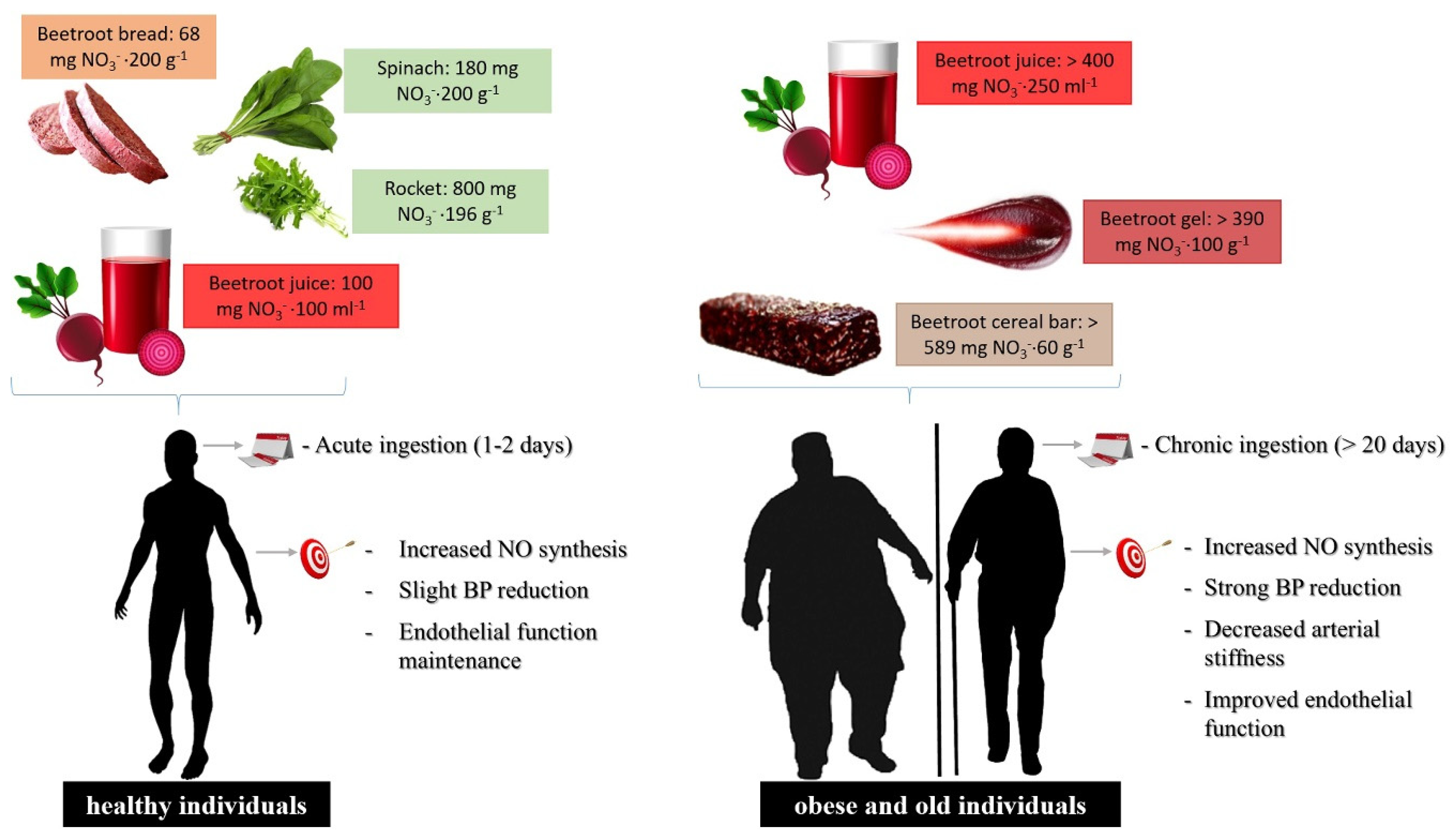 Foods | Free Full-Text | A Narrative Review on Dietary Strategies to  Provide Nitric Oxide as a Non-Drug Cardiovascular Disease Therapy: Beetroot  Formulations—A Smart Nutritional Intervention