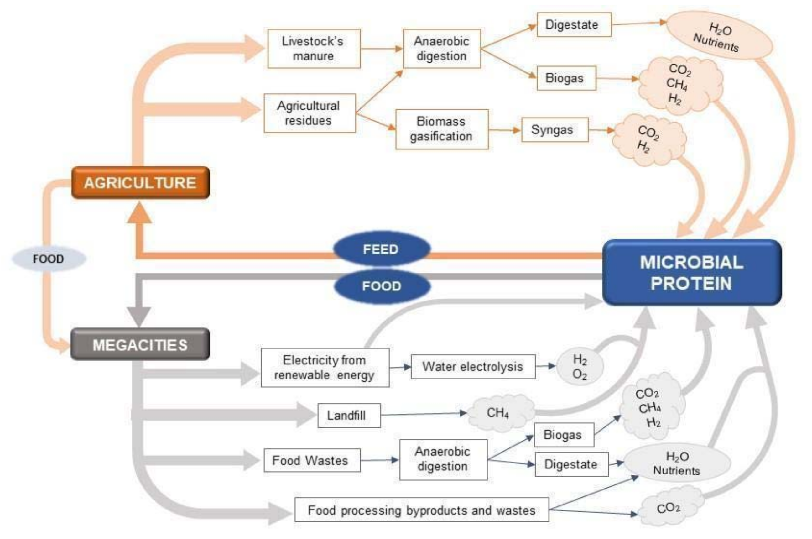 Foods 10 00971 g001 Foods 10 00971 g001