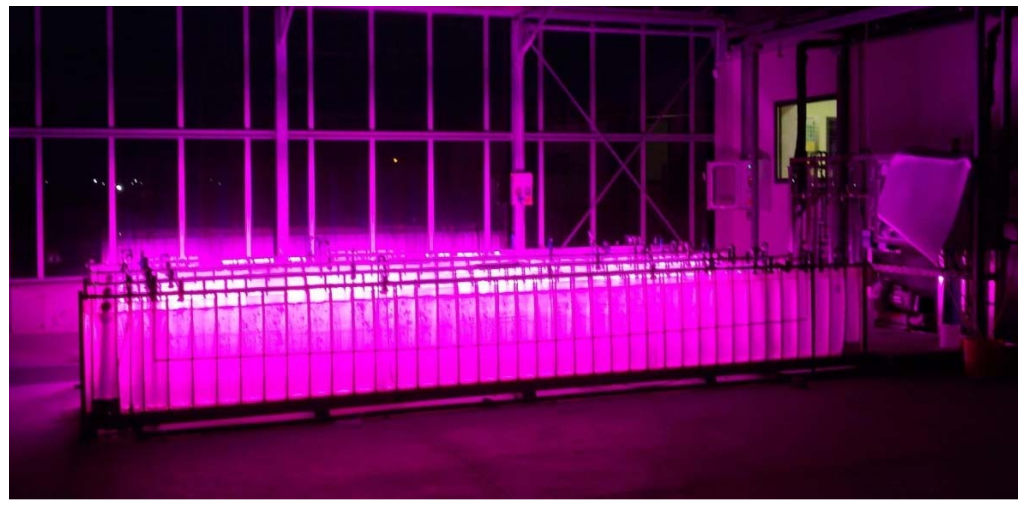 Foods 10 00971 g002 Foods 10 00971 g002