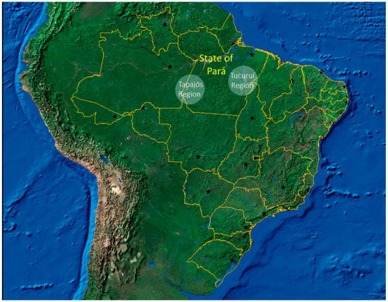 Foods | Free Full-Text | Eating in the Amazon: Nutritional Status of the  Riverine Populations and Possible Nudge Interventions