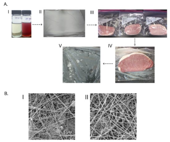 Investigative Report: The Dark Side of Meat Glue: An Investigation