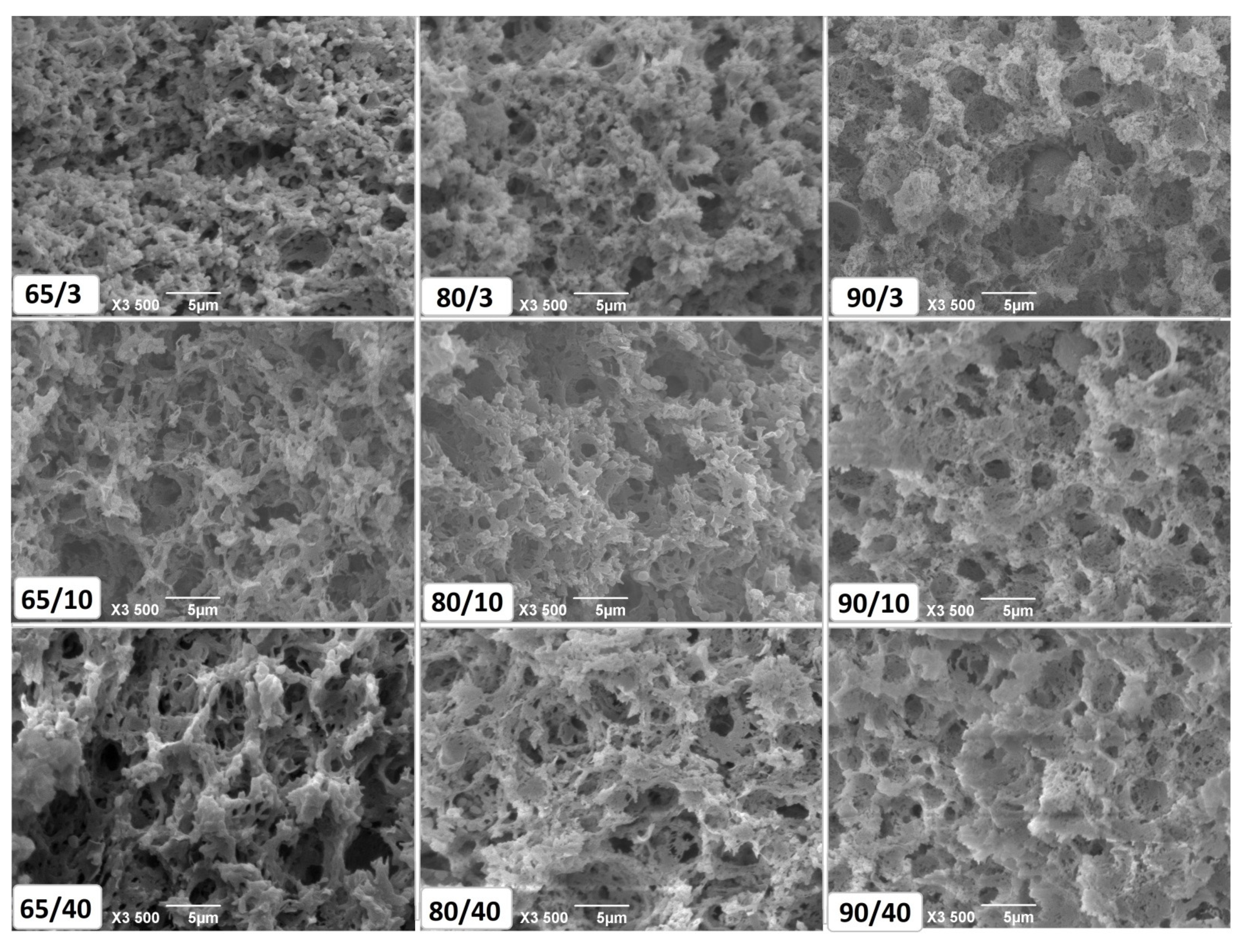 Foods 10 01116 g003 Foods 10 01116 g003