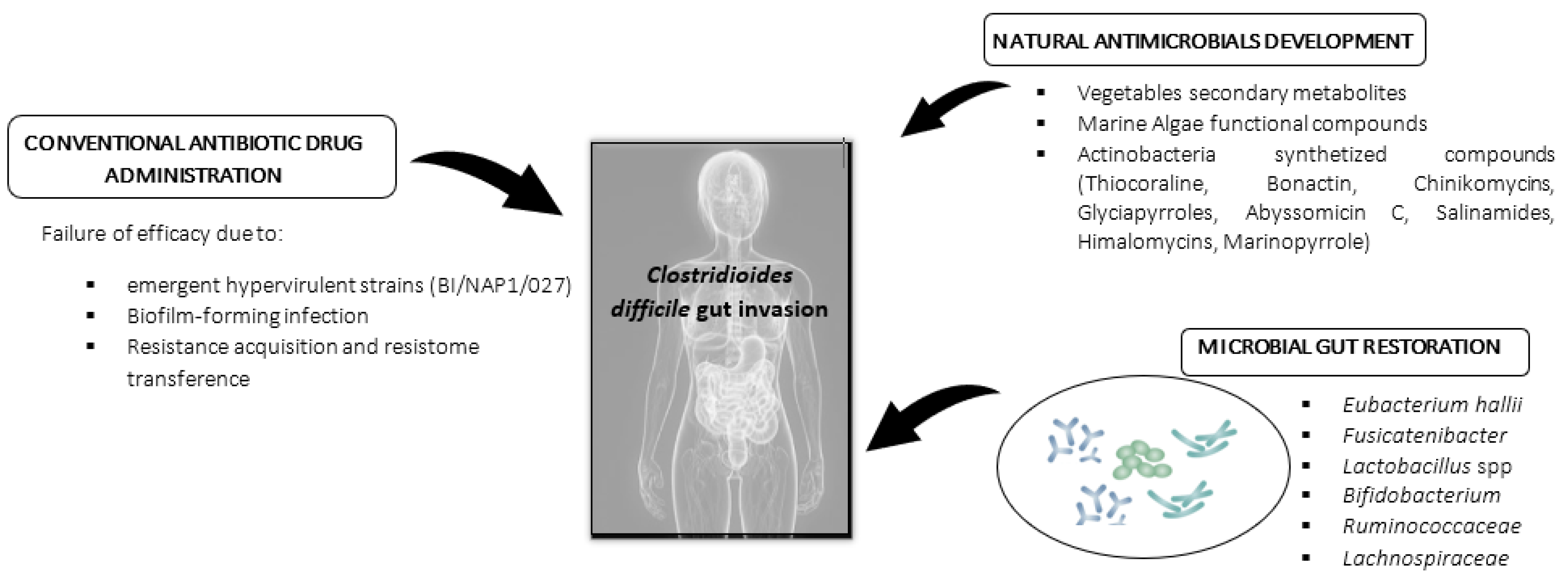 Alimentary And Pharmaceutical Approach To Natural Antimicrobials ...