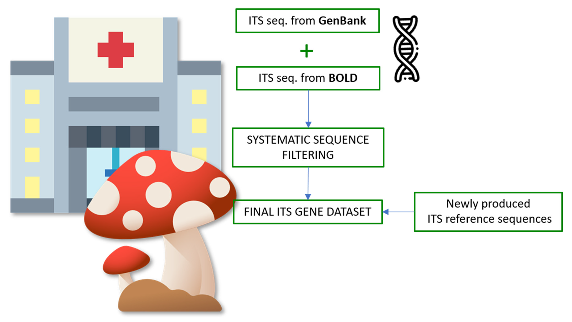 Foods Free Full Text Building Of An Internal Transcribed Spacer Its Gene Dataset To Support The Italian Health Service In Mushroom Identification Html