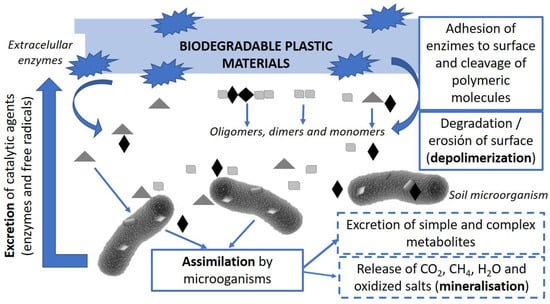 Foods | Free Full-Text | Biodegradable Antimicrobial Films For Food ...