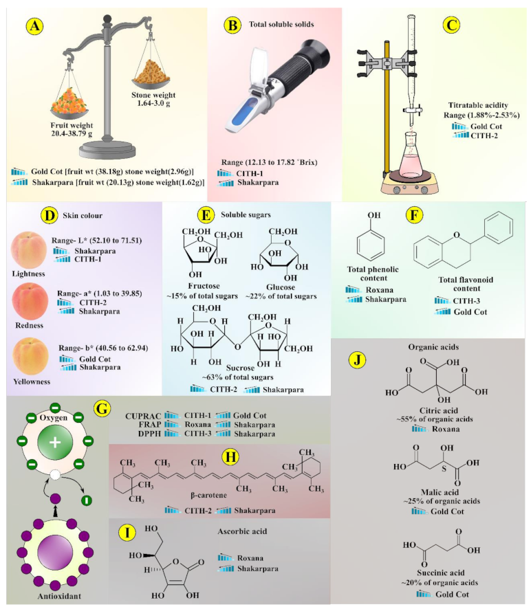Foods 10 01344 g007 Foods 10 01344 g007