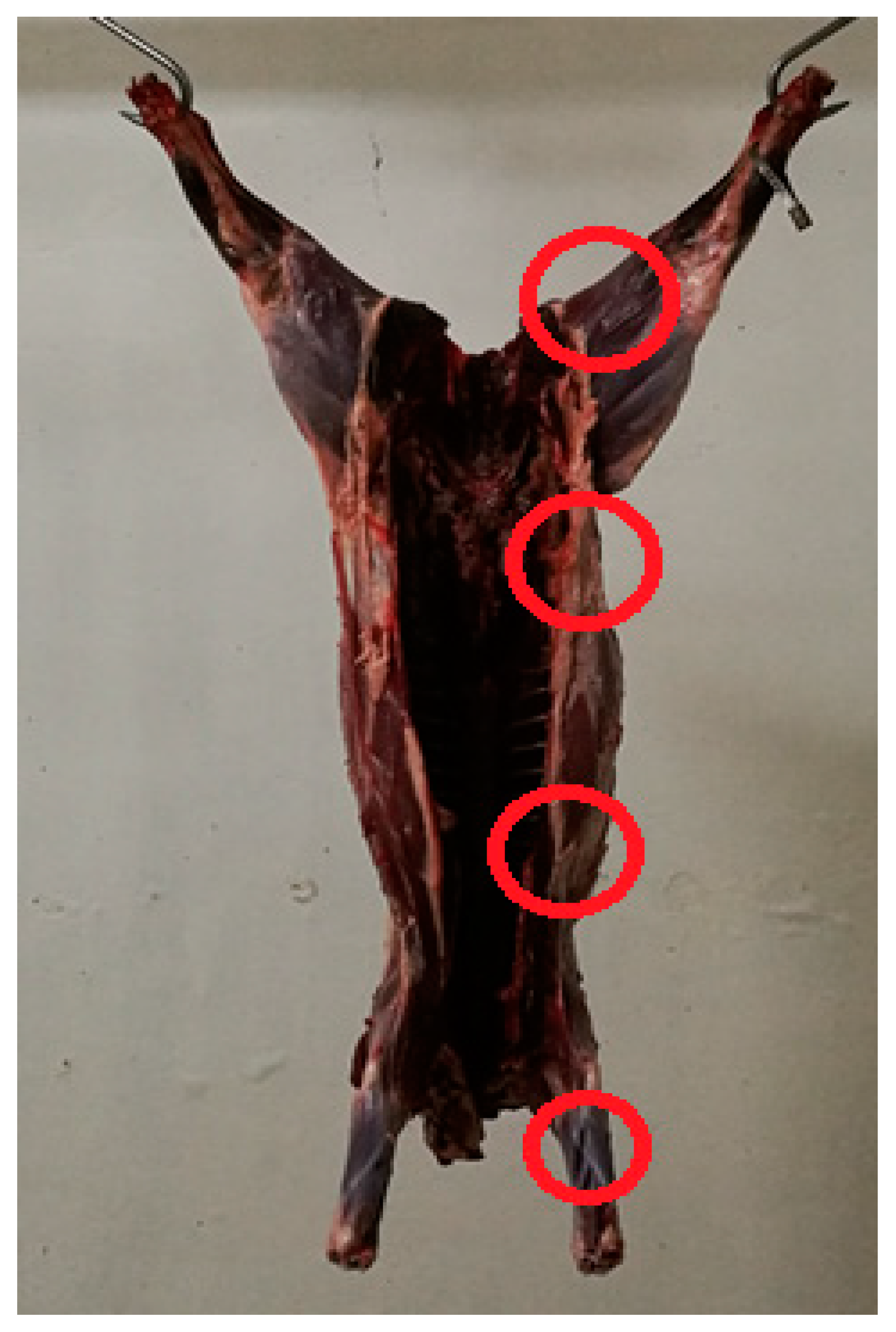 Foods 10 01548 g001 Foods 10 01548 g001